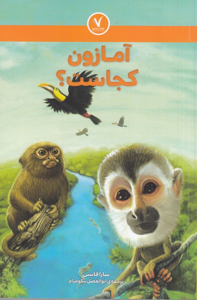 پایانه - آمازون کجاست؟