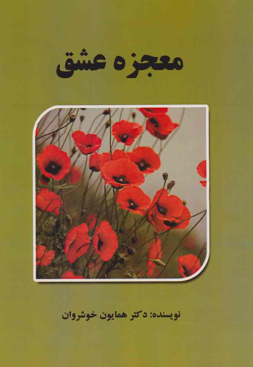 پایانه - معجزه عشق