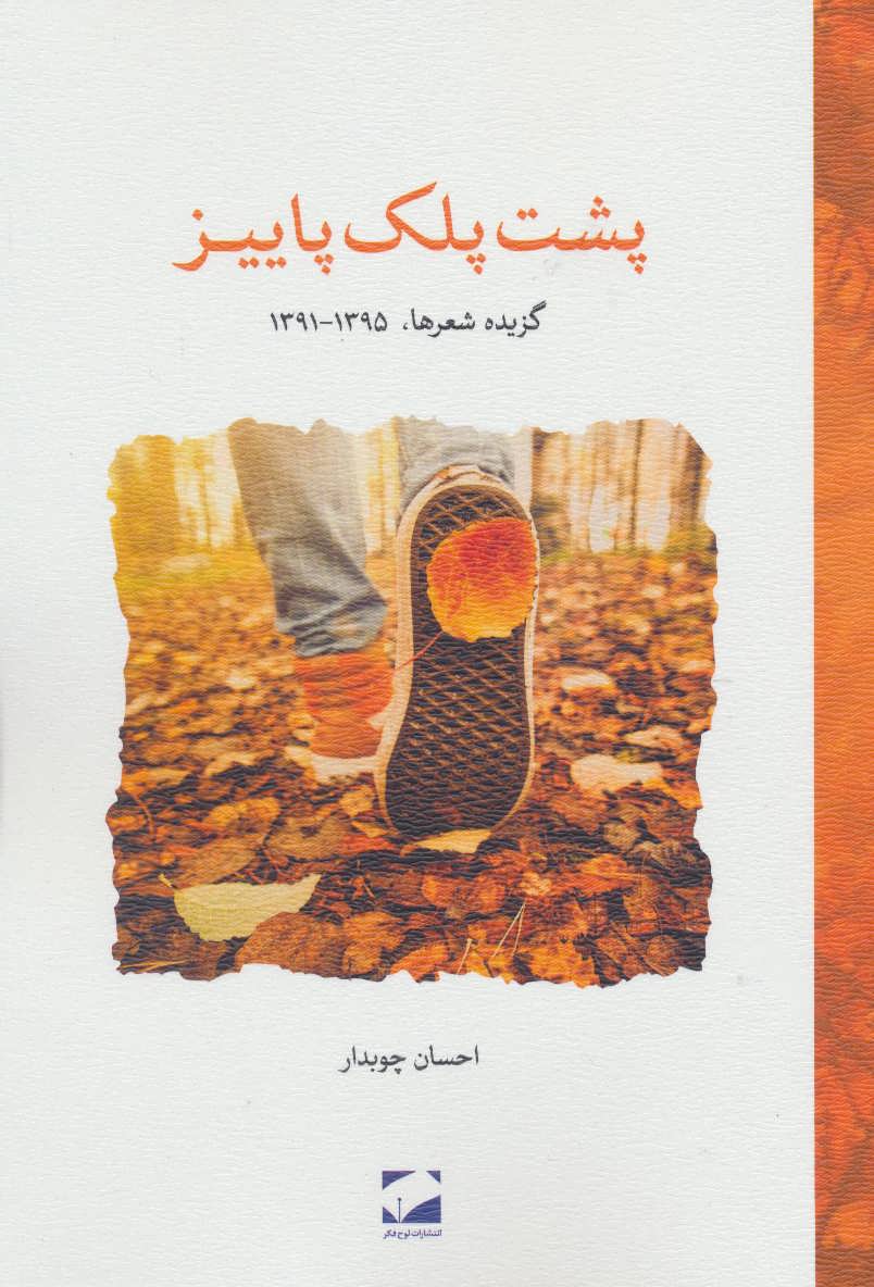 پایانه - پشت پلک پاییز