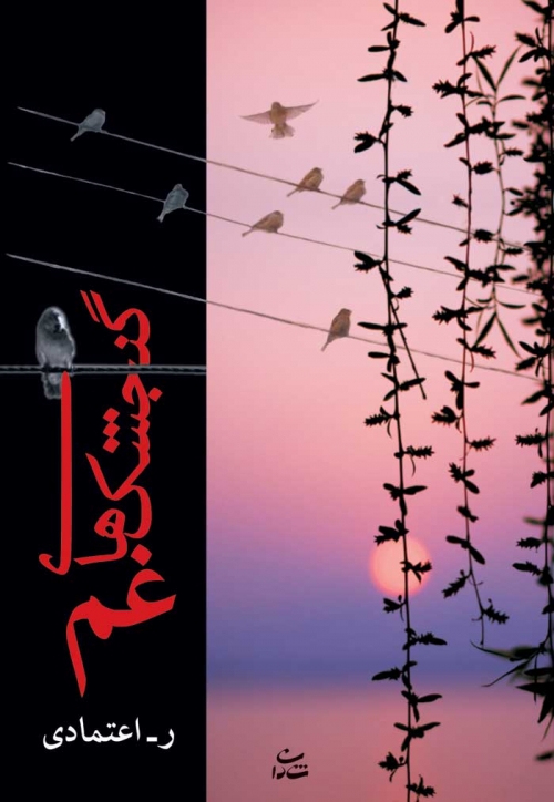 پایانه - گنجشک های غم