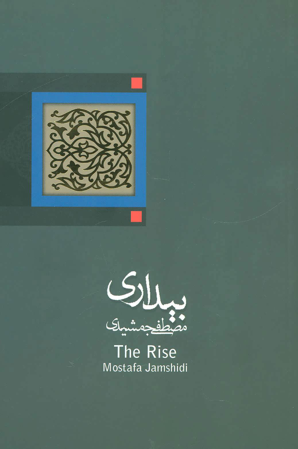 پایانه - بیداری