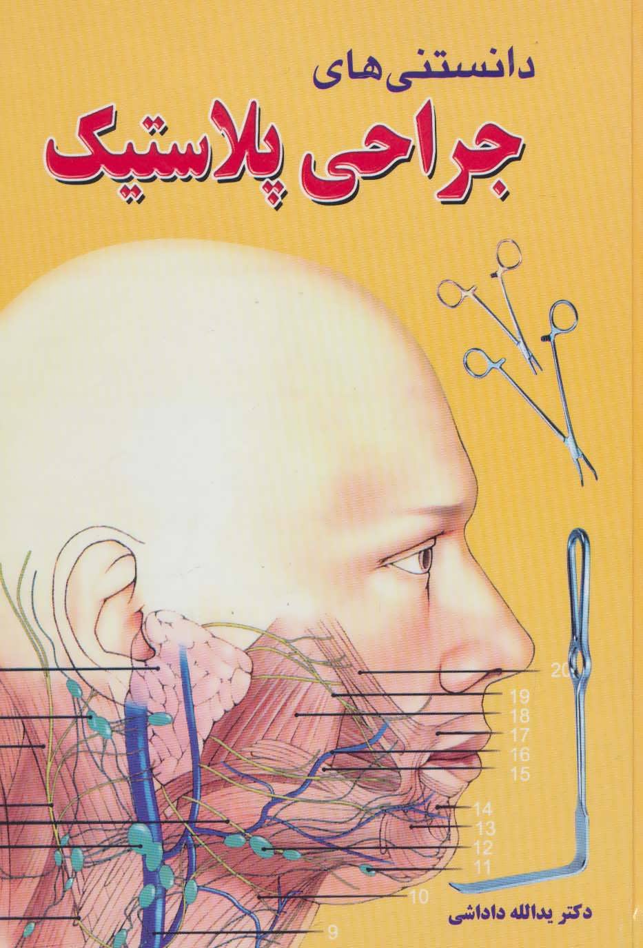 پایانه - دانستنی های جراحی پلاستیک