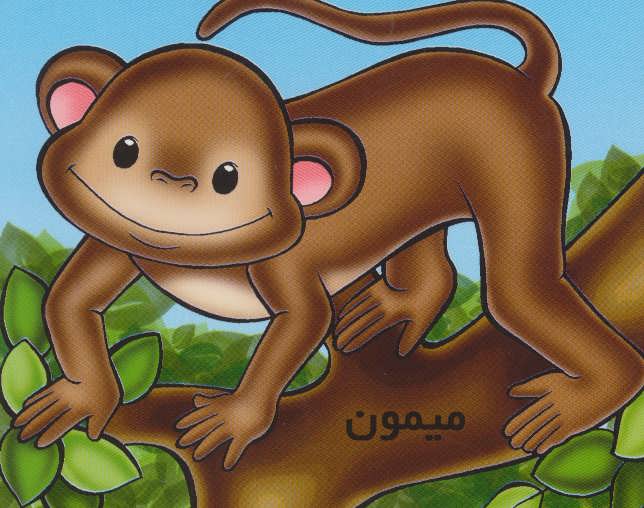 پایانه - میمون