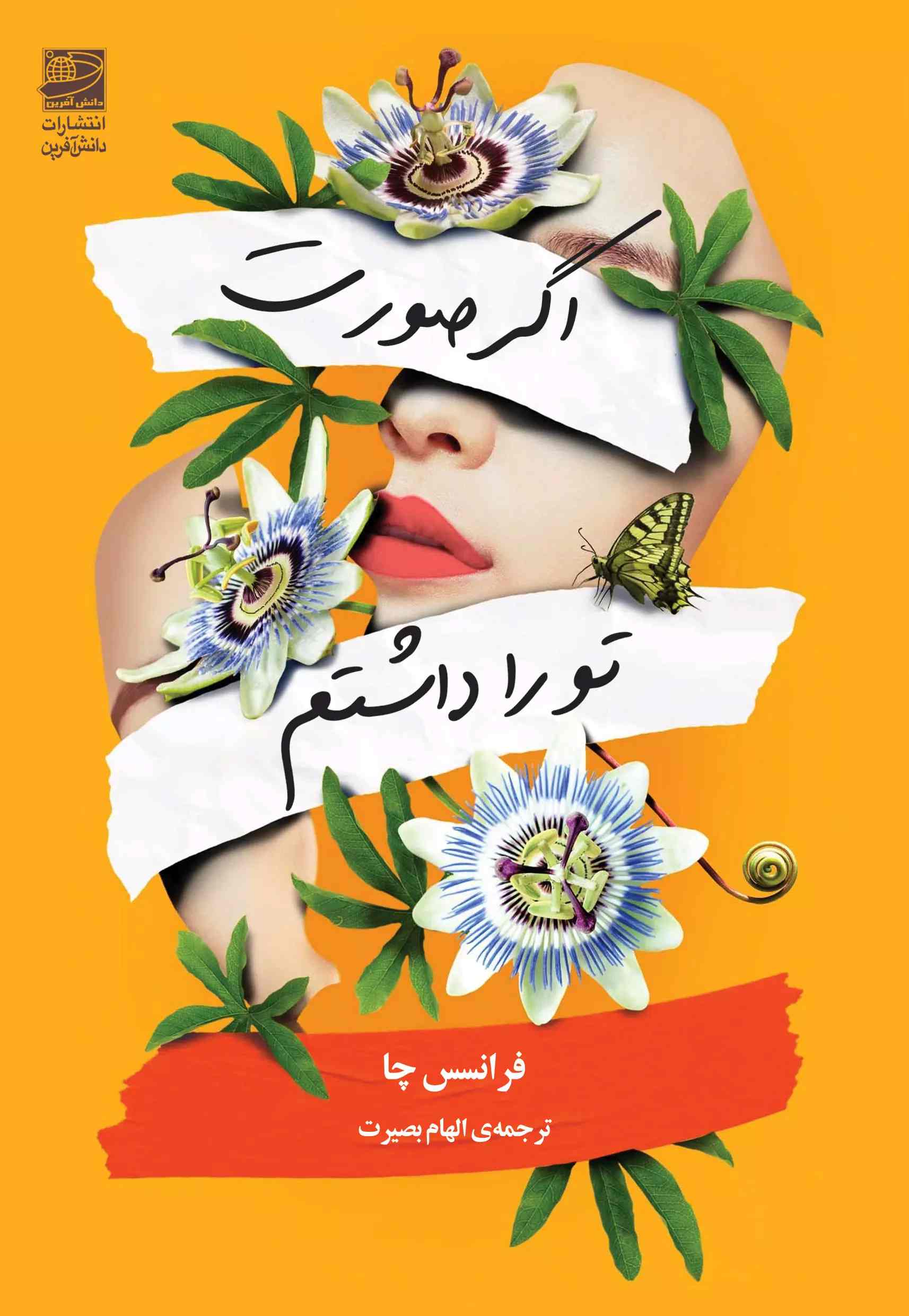 پایانه - اگر صورت تو را داشتم