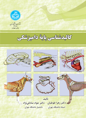 پایانه - کالبدشناسی پایه دامپزشکی