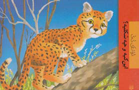 پایانه - این کیه و چه شکلیه؟