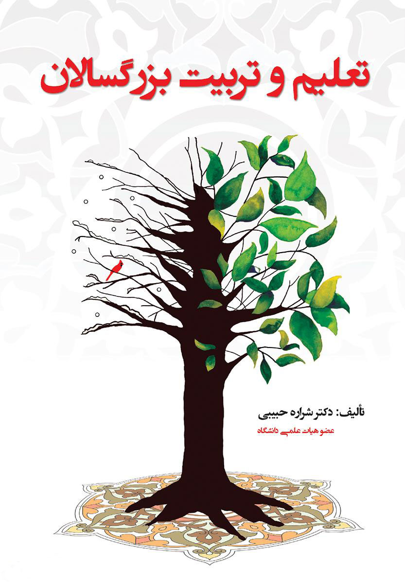 پایانه - تعلیم و تربیت بزرگسالان