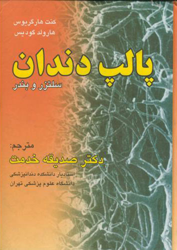 پایانه - پالپ دندان