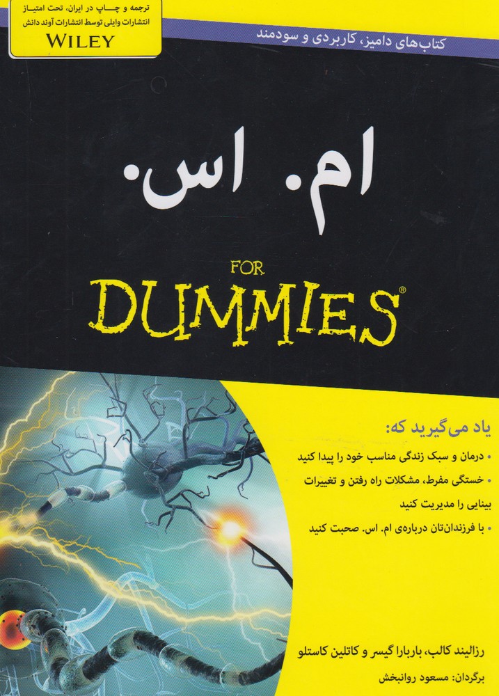 پایانه - ام.اس. For dummies