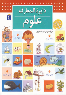 پایانه - دایره المعارف علوم