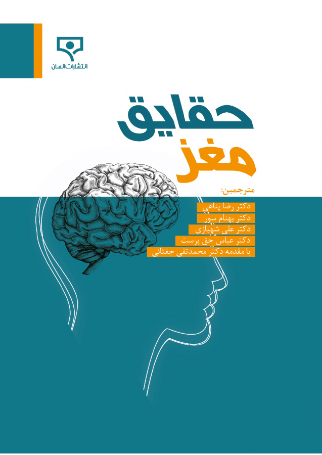 پایانه - حقایق مغز