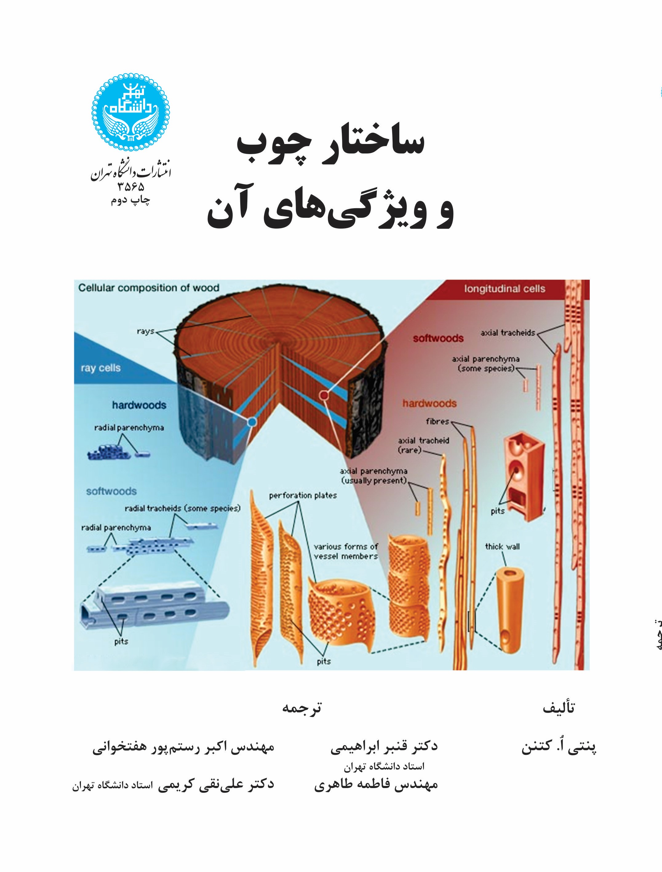 پایانه - ساختار چوب و ویژگی های آن