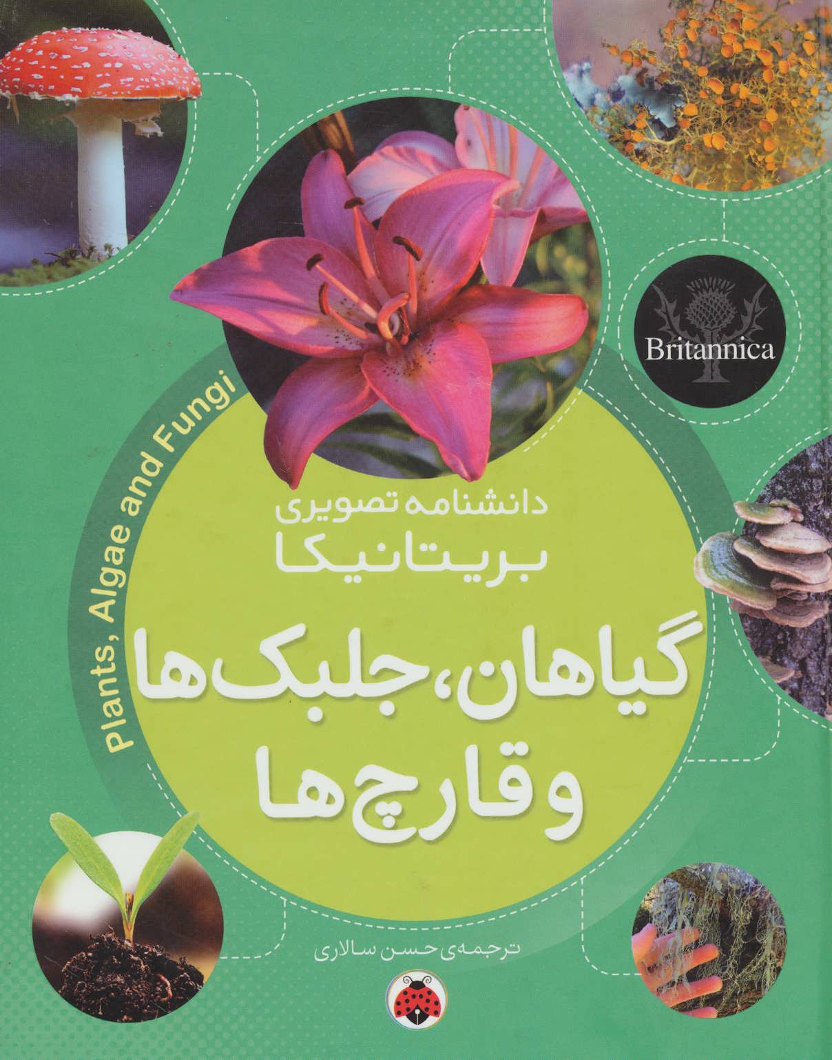 پایانه - گیاهان، جلبک ها و قارچ ها