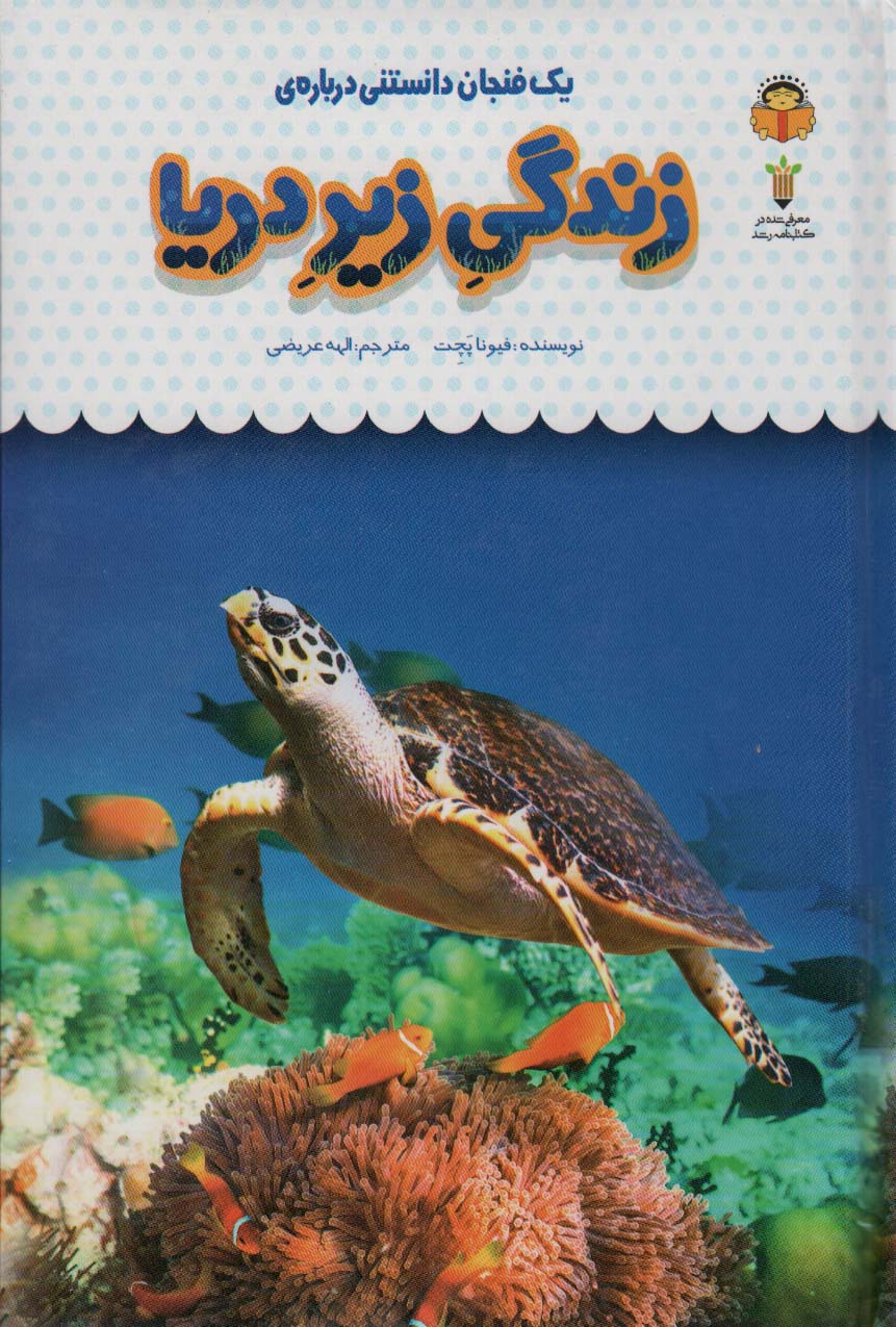 پایانه - یک فنجان دانستنی درباره ی زندگی زیر دریا