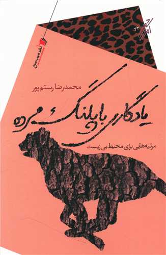 پایانه - یادگاری با پلنگ مرده