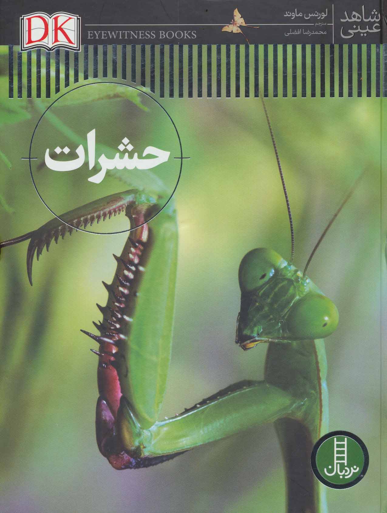 پایانه - حشرات