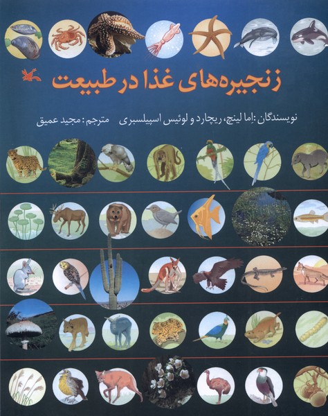 پایانه - زنجیره های غذا در طبیعت