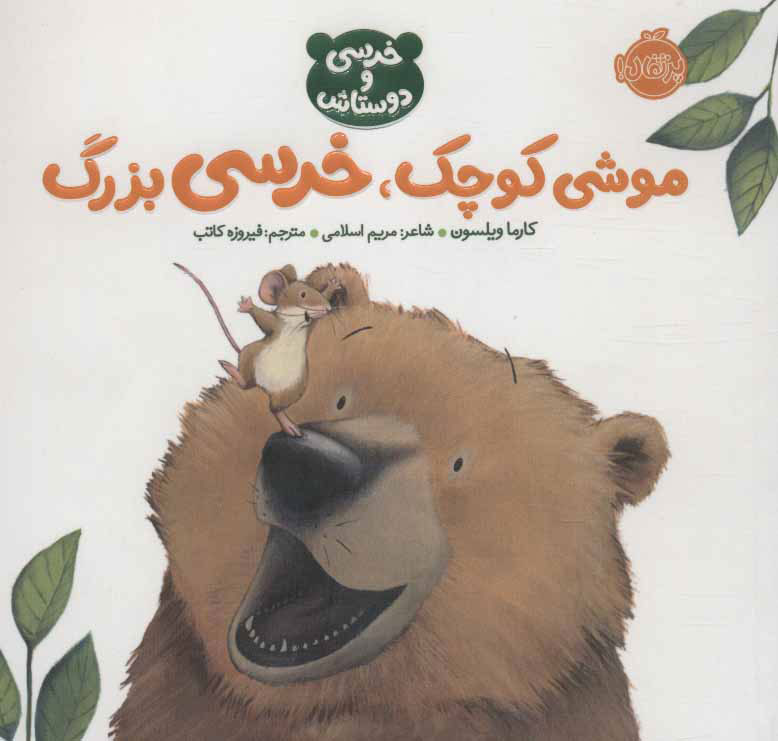 پایانه - موشی کوچک،خرسی بزرگ