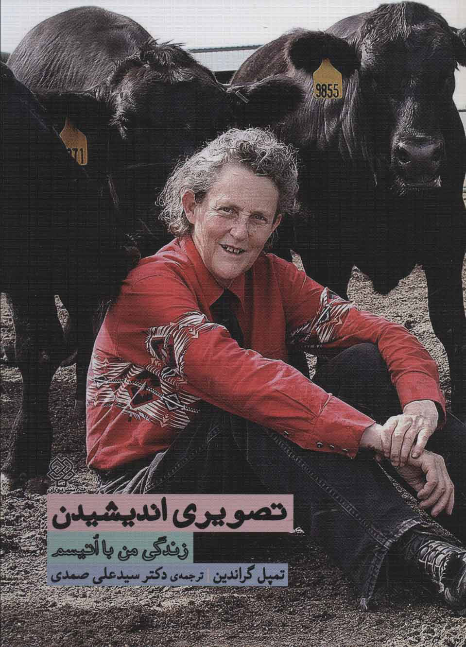 پایانه - تصویری اندیشیدن