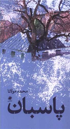 پایانه - پاسبان