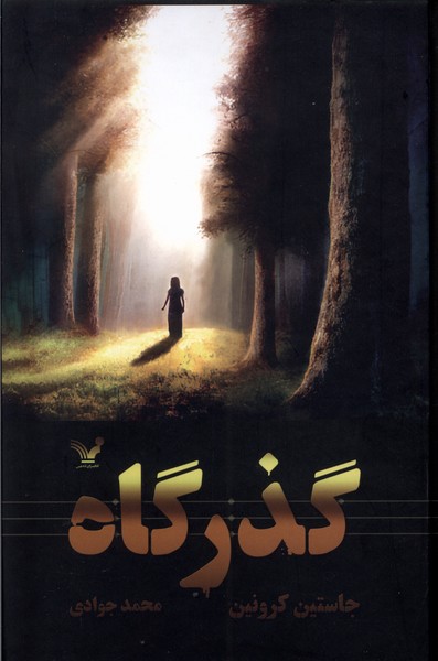 پایانه - گذرگاه