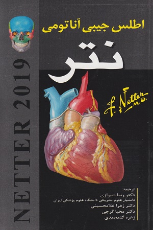 پایانه - اطلس جیبی آناتومی نتر