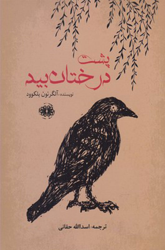 پایانه - پشت درختان بید