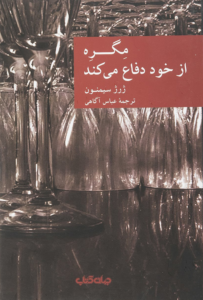 پایانه - مگره از خود دفاع می کند