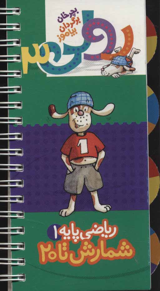 پایانه - رولی 3