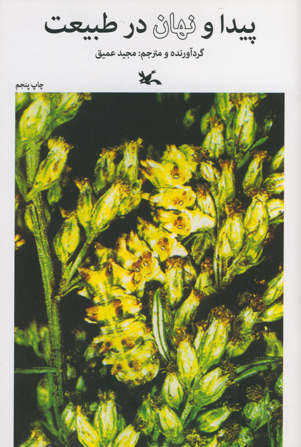 پایانه - پیدا و پنهان در طبیعت