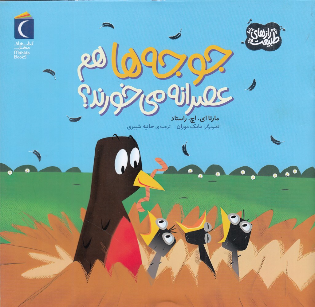 پایانه - جوجه ها هم عصرانه می خورند؟