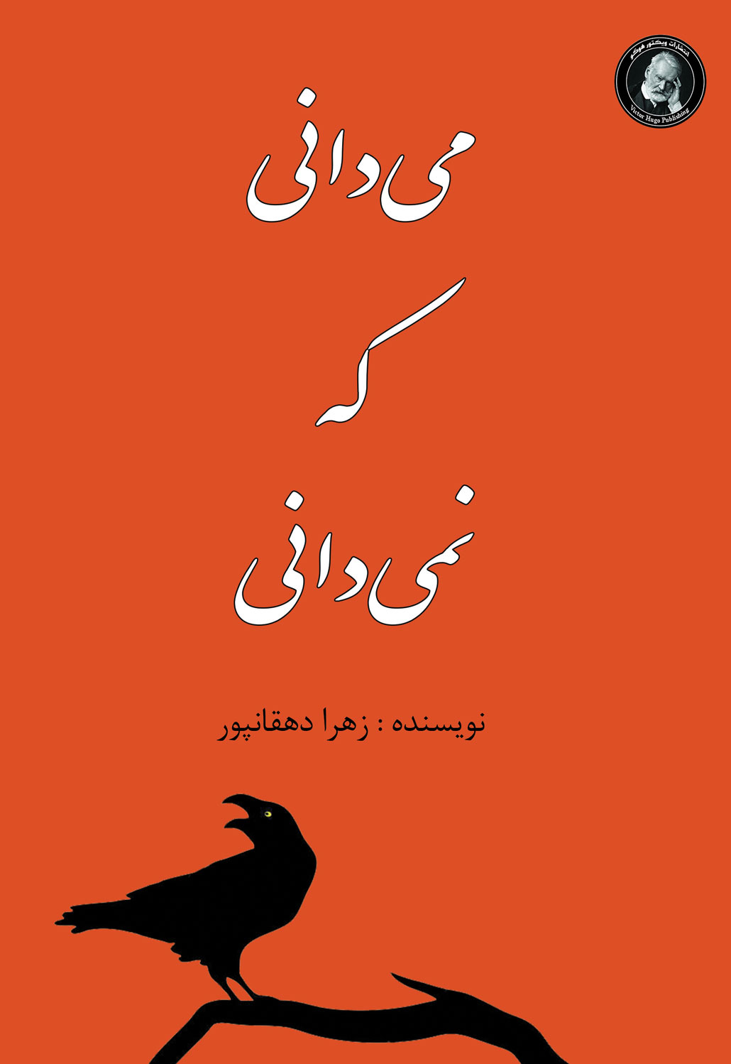 پایانه - می دانی که نمی دانی