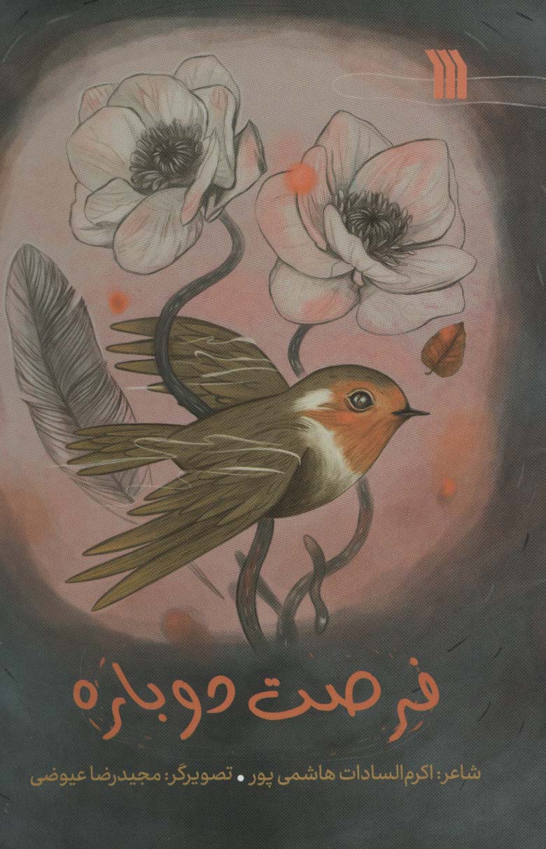 پایانه - فرصت دوباره