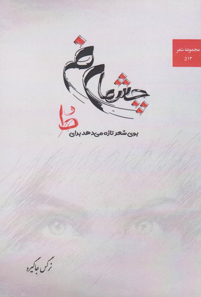 پایانه - چشمان من، بوی شعر تازه می دهد برای ط