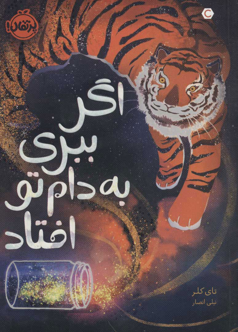 پایانه - اگر ببری به دام تو افتاد