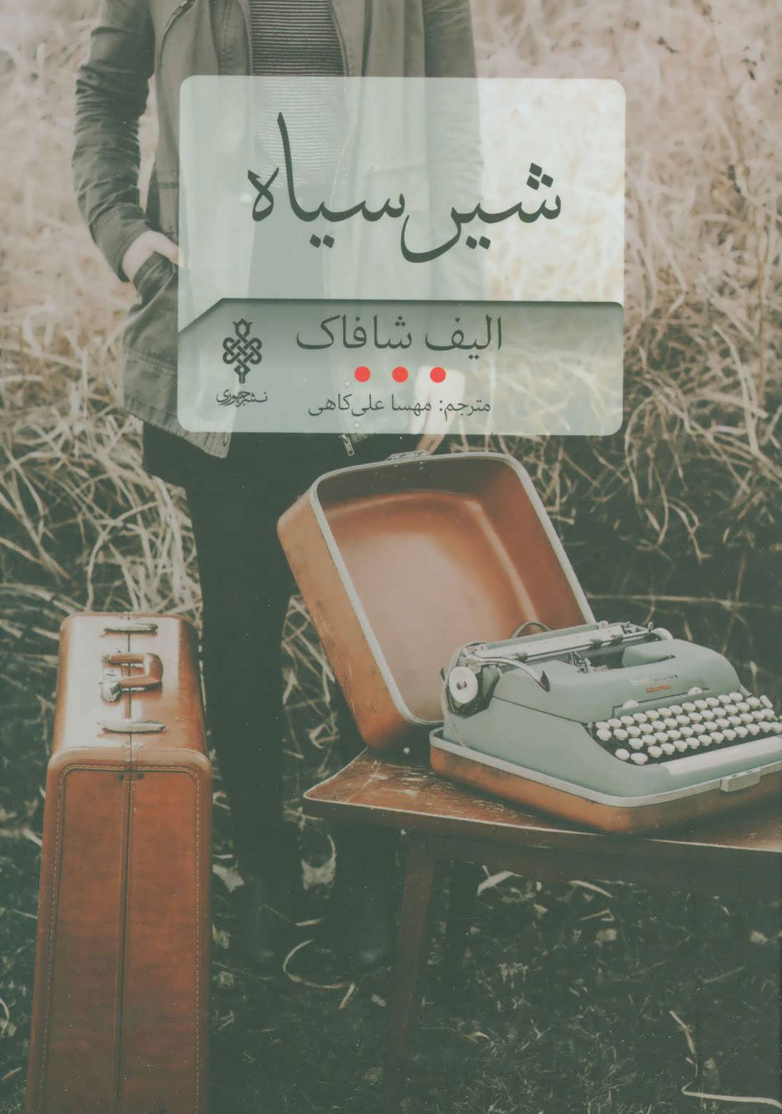 پایانه - شیر سیاه