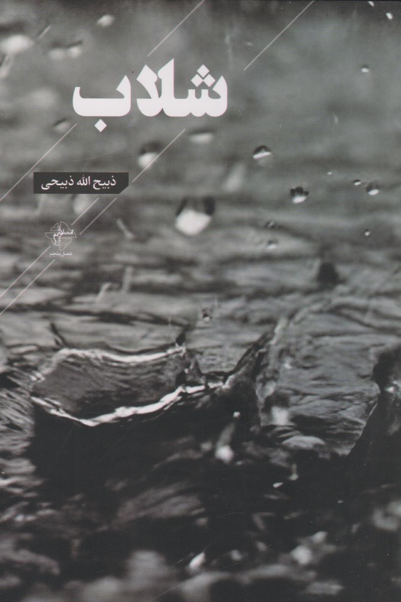 پایانه - شلاب