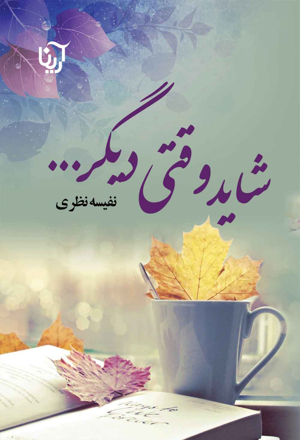 پایانه - شاید وقتی دیگر