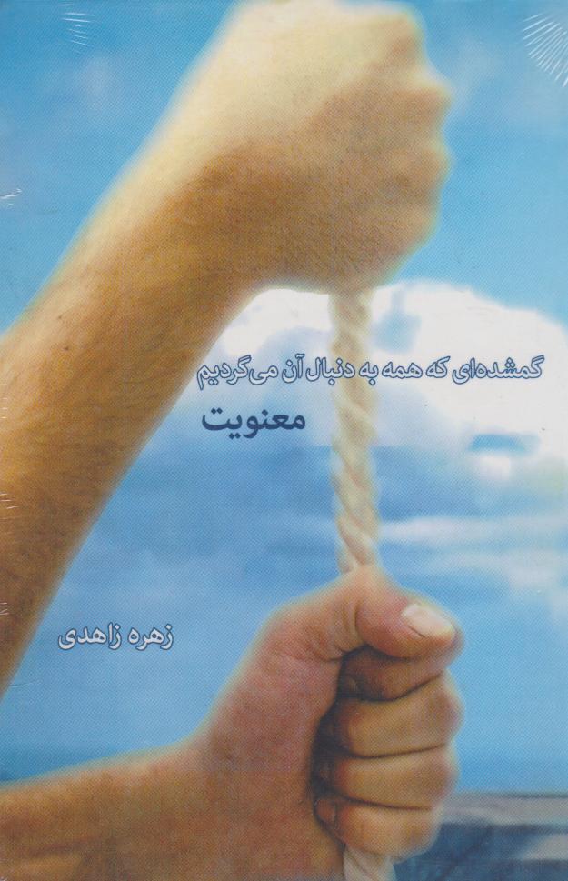 پایانه - گمشده ای که همه به دنبال آن می گردیم: معنویت