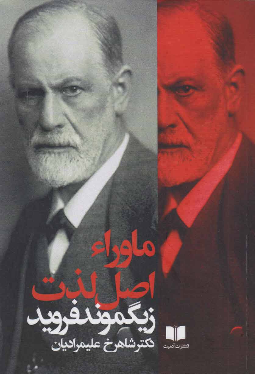 پایانه - ماوراء اصل لذت