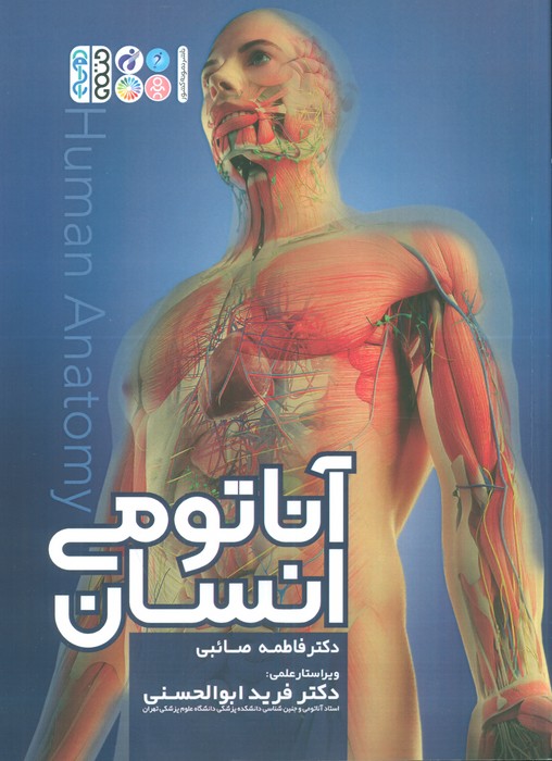 پایانه - آناتومی انسان