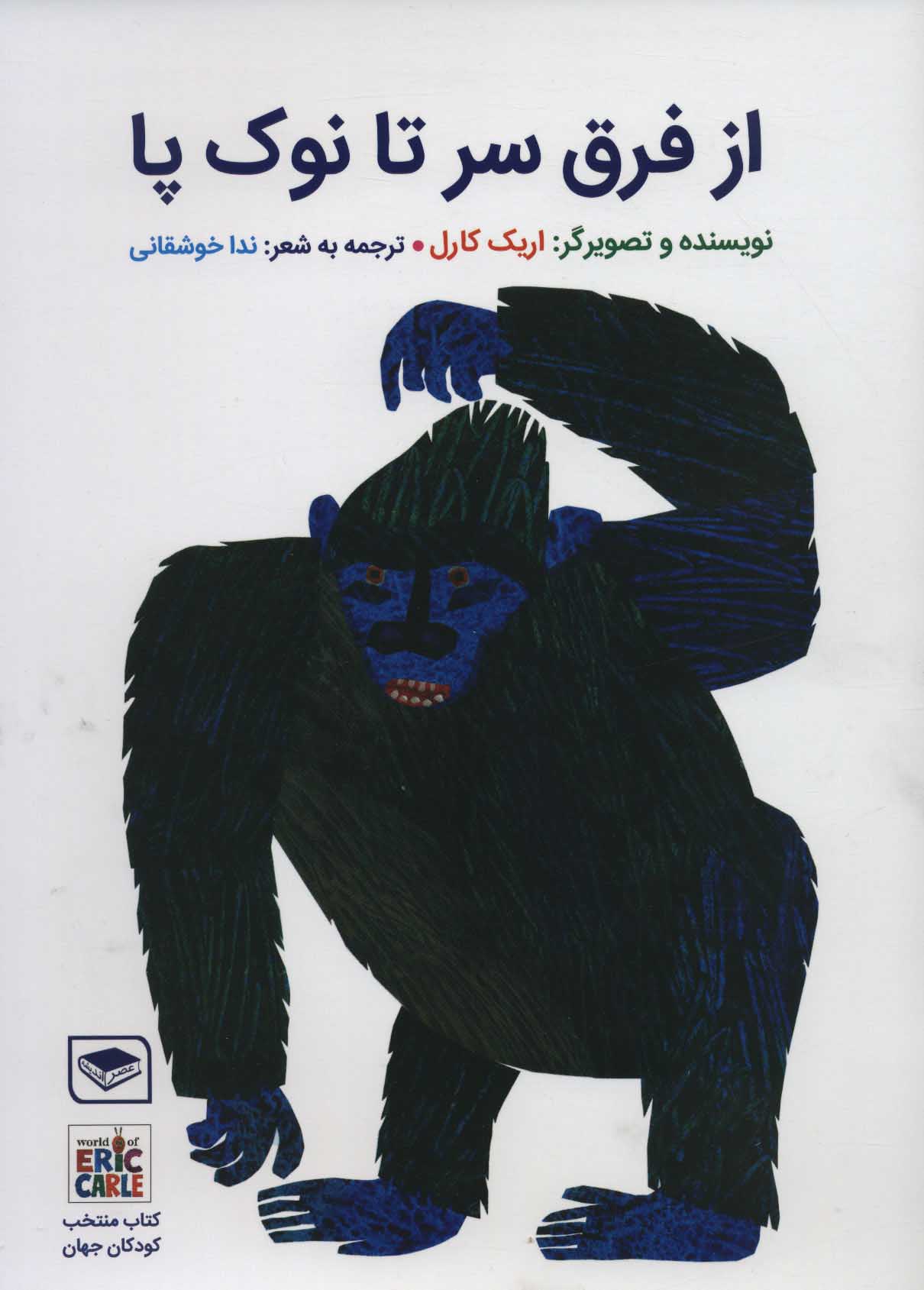 پایانه - از فرق سر تا نوک پا