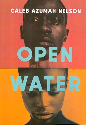 پایانه - Open Water