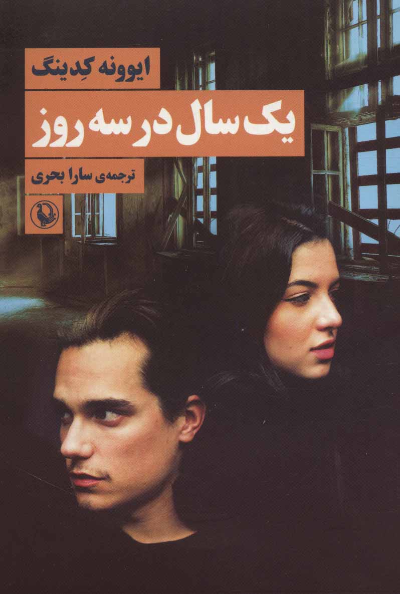 پایانه - یک سال در سه روز