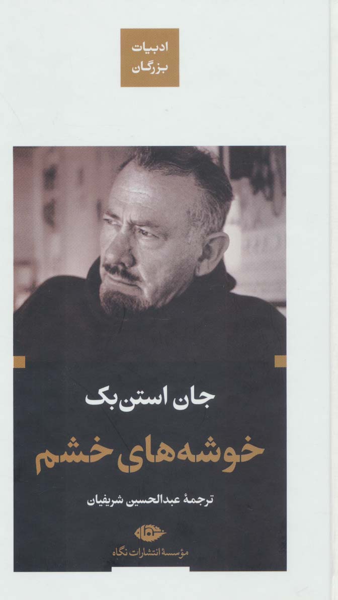 پایانه - خوشه های خشم (پالتویی)