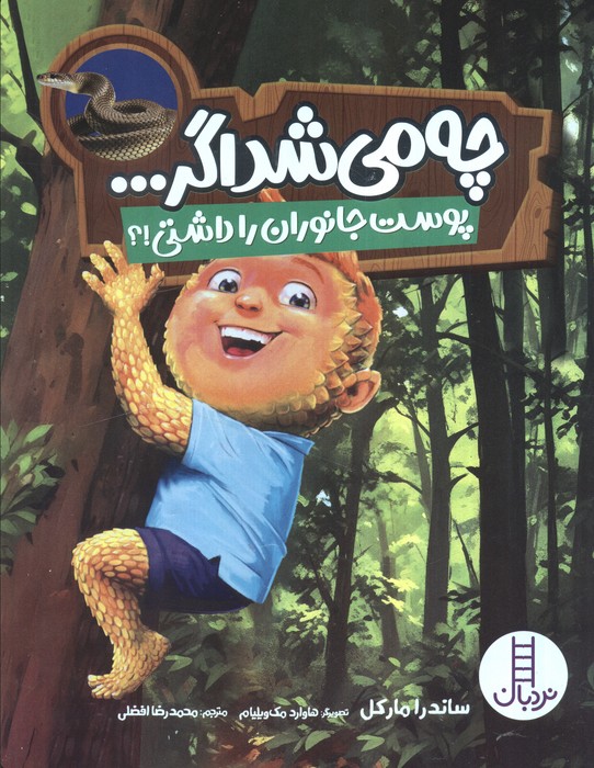 پایانه - چه می شد اگر...