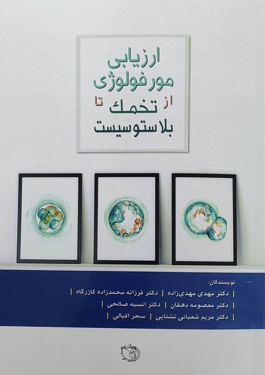 پایانه - ارزیابی مورفولوژی از تخمک تا بلاستوسیست