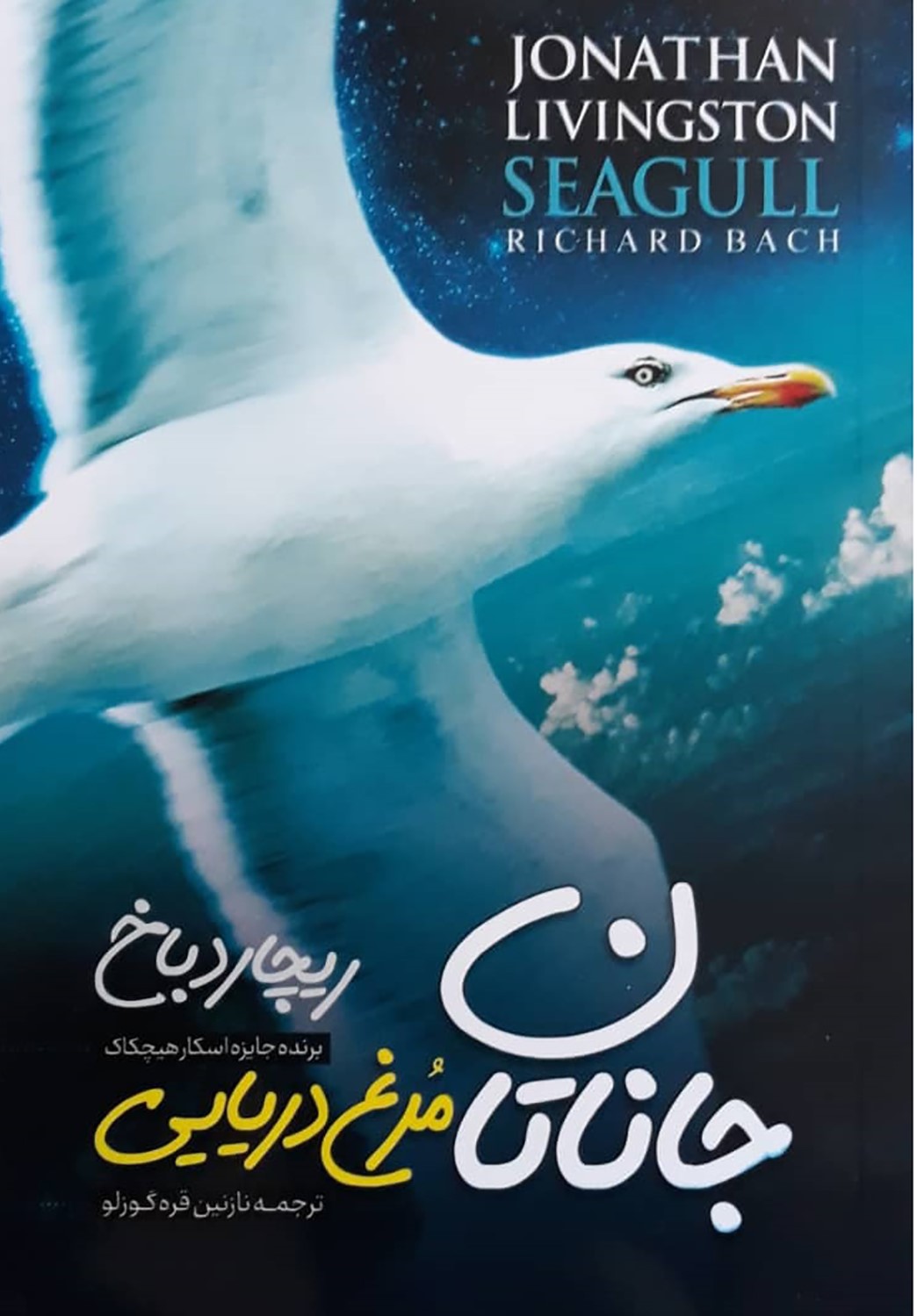 پایانه - جاناتان مرغ دریایی