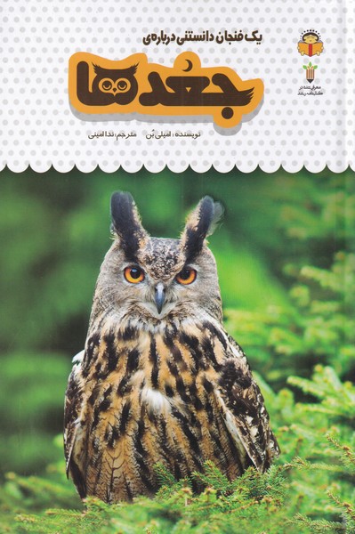 پایانه - جغدها