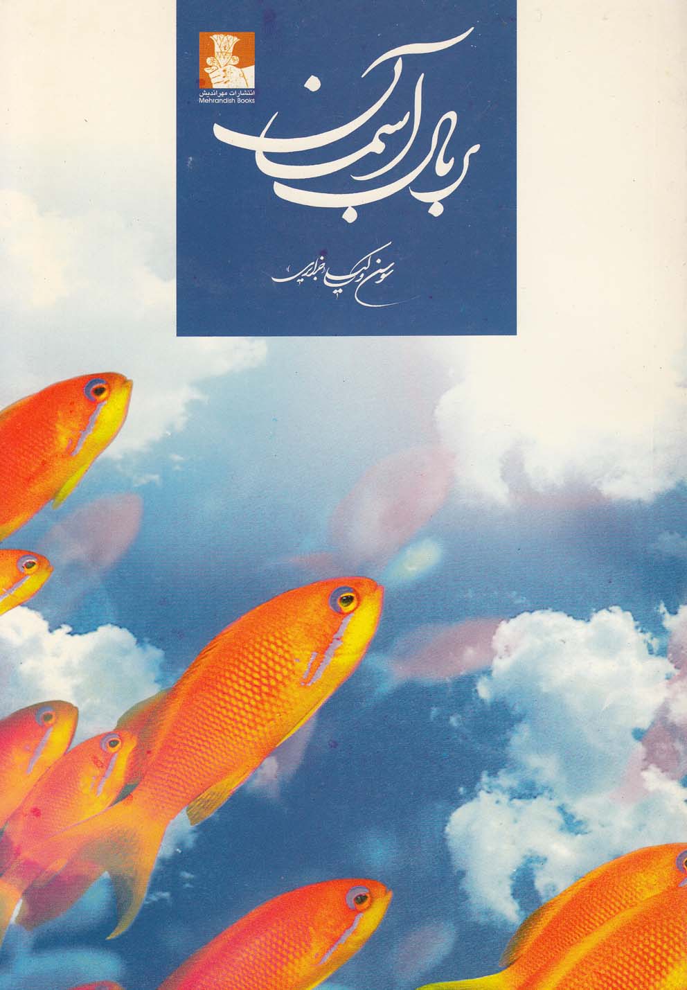 پایانه - بر بال آسمان